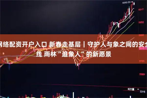 网络配资开户入口 新春走基层｜守护人与象之间的安全线 雨林“追象人”的新愿景