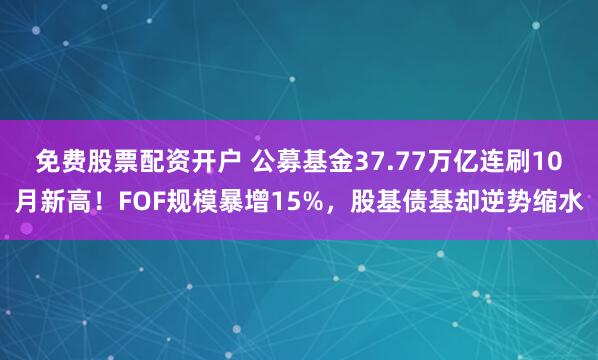 免费股票配资开户 公募基金37.77万亿连刷10月新高！FOF规模暴增15%，股基债基却逆势缩水