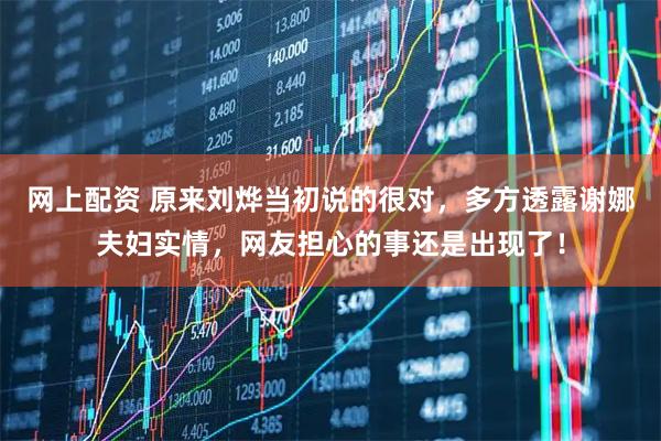 网上配资 原来刘烨当初说的很对，多方透露谢娜夫妇实情，网友担心的事还是出现了！